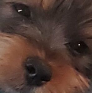 Meet your Posher, Brenda